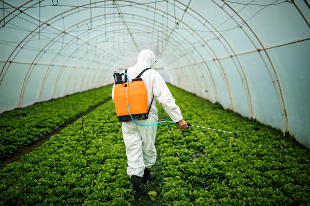 Best Best Pest Control Companies  in Kiawah Island, SC