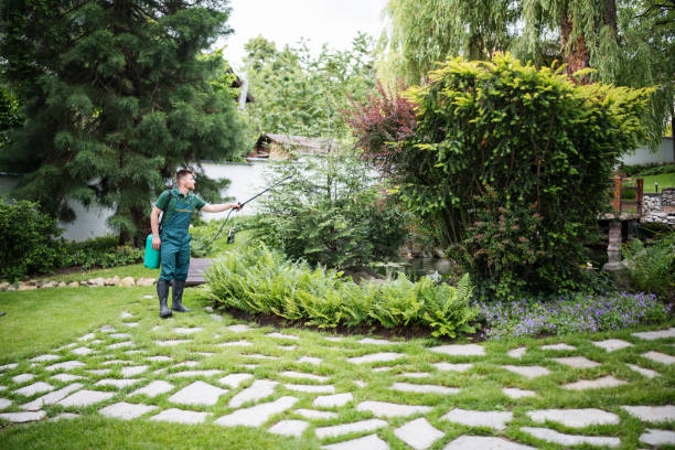 Best Insect Control  in Kiawah Island, SC
