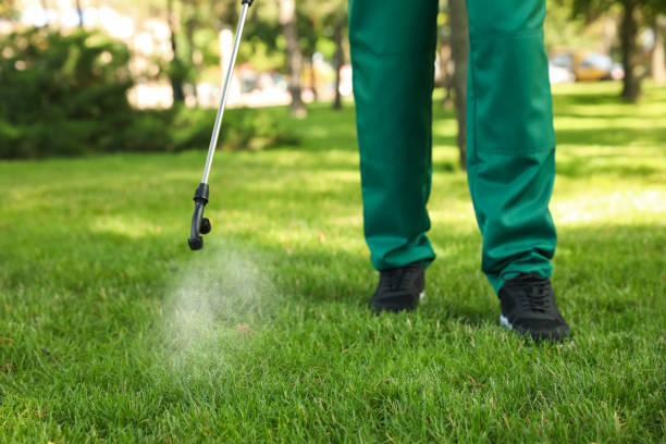 Best Pest Removal Services  in Kiawah Island, SC