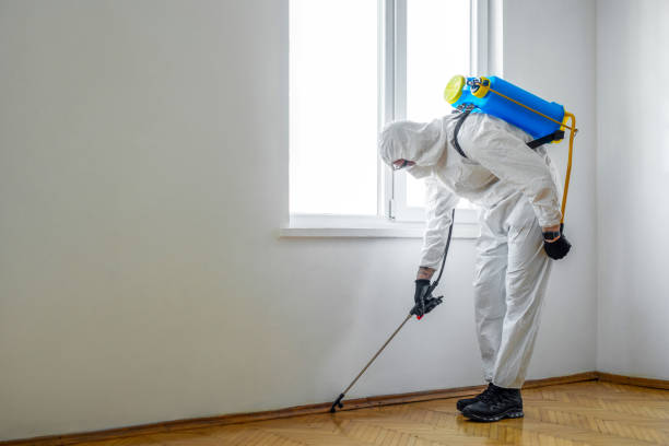 Best Emergency Pest Control  in Kiawah Island, SC