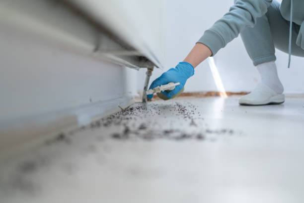 Best Pest Prevention Services  in Kiawah Island, SC