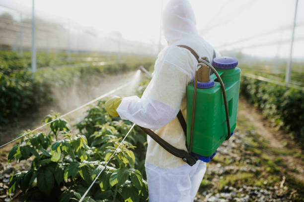 Best Wildlife Control Services  in Kiawah Island, SC